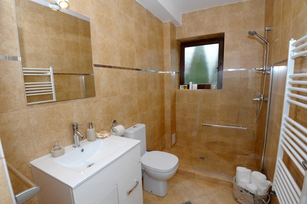 Yael Luxury Apartments 1 Buşteni Extérieur photo